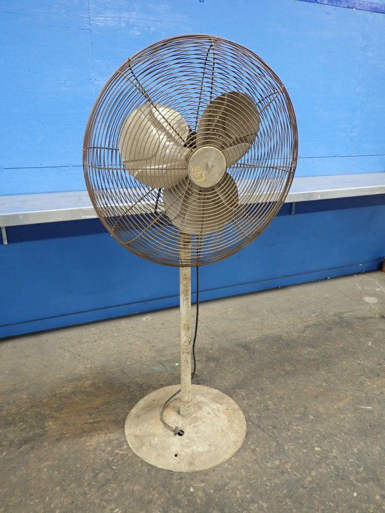 Chelsea Fans Pedestal Fan