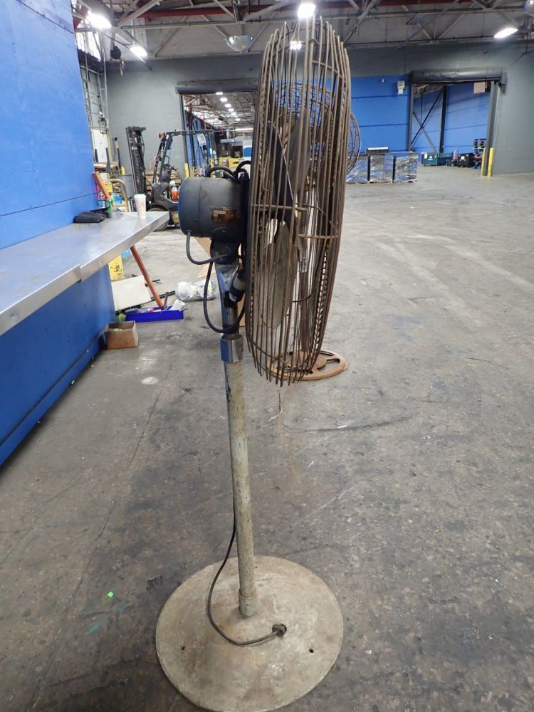 Chelsea Fans Pedestal Fan