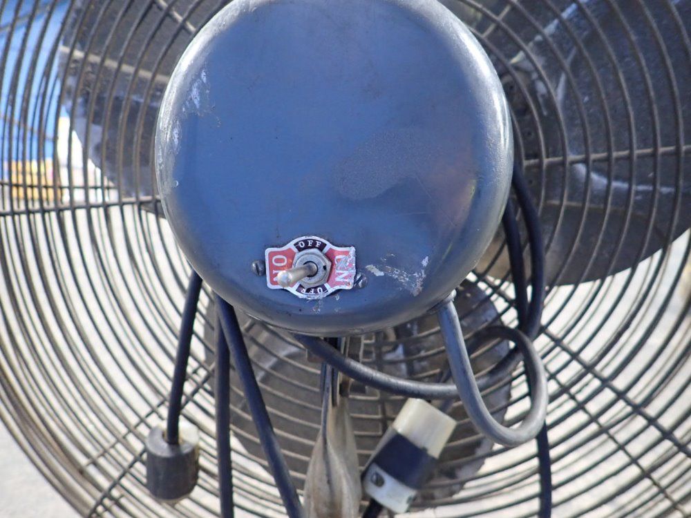 Chelsea Fans Pedestal Fan