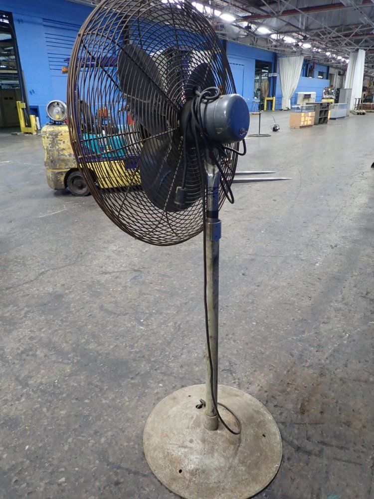 Chelsea Fans Pedestal Fan