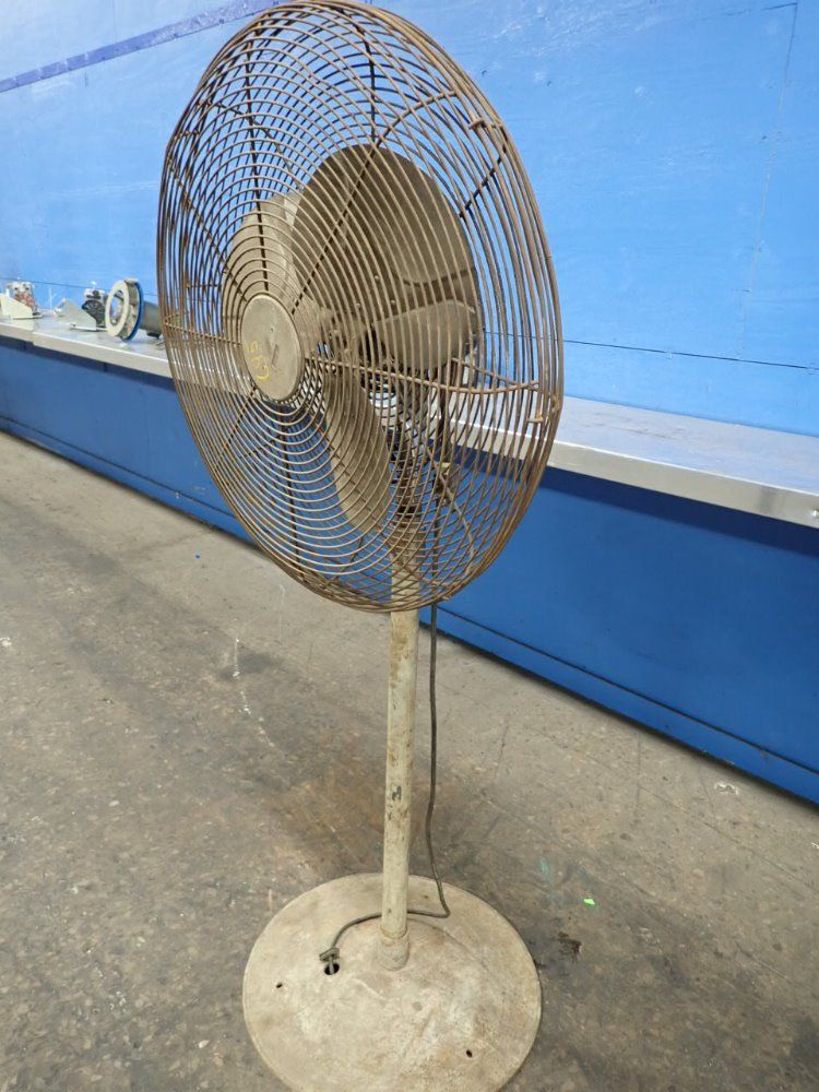 Chelsea Fans Pedestal Fan