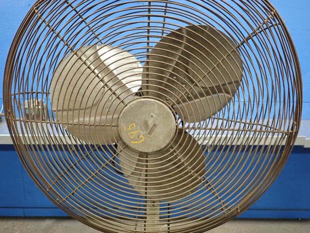 Chelsea Fans Pedestal Fan