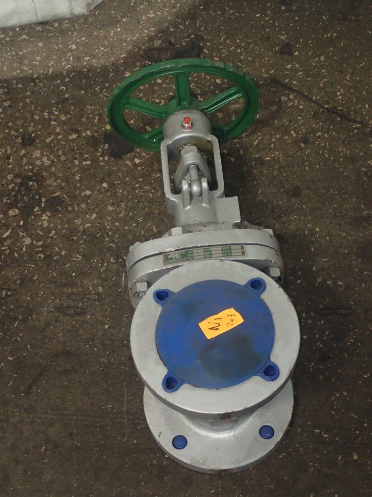 4 Evergreen Valve