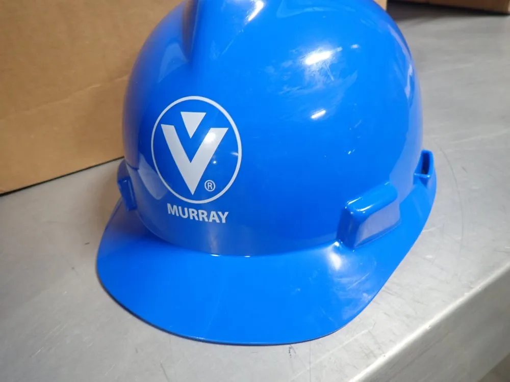 Msa Hard Hats