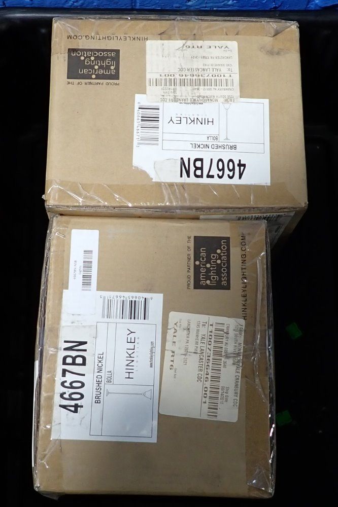 Hinkley Light Fixture