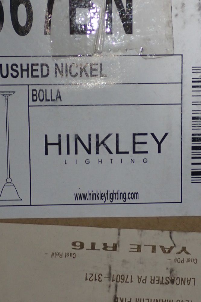 Hinkley Light Fixture