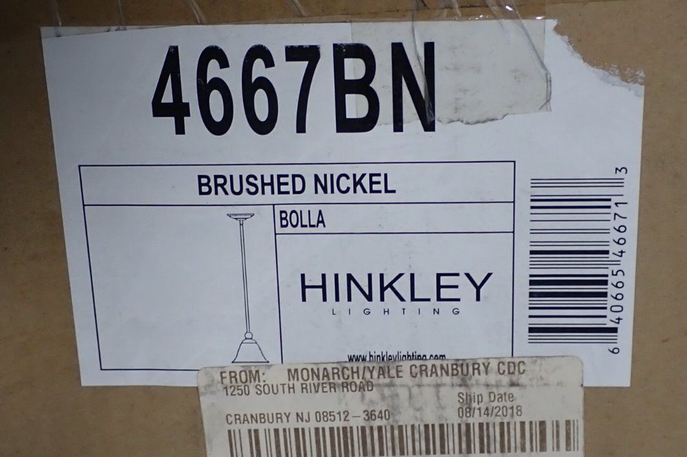 Hinkley Light Fixture