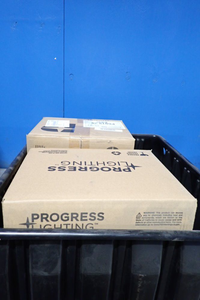 Progress Lighting Light Fixture