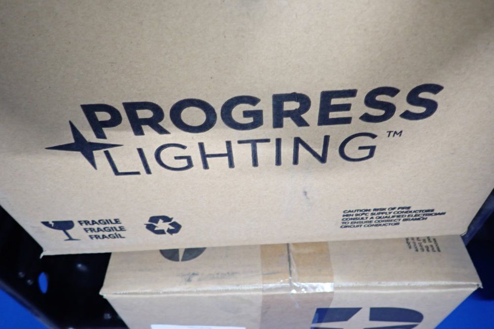 Progress Lighting Light Fixture