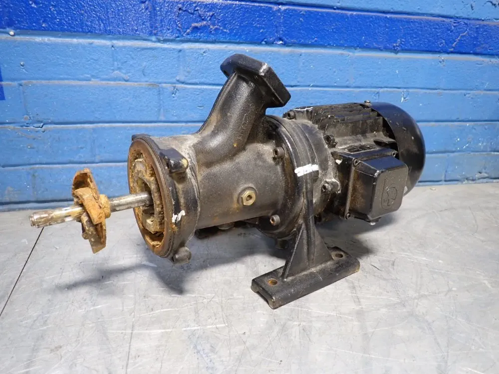 Brinkmann Pumps Pump