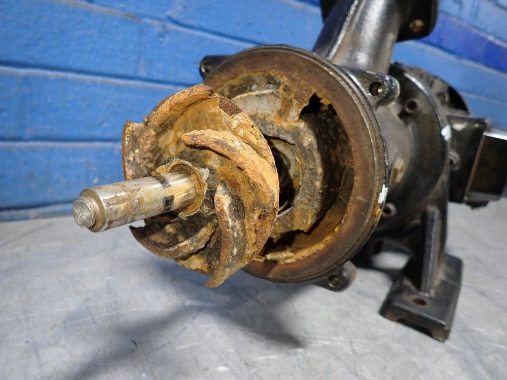 Brinkmann Pumps Pump