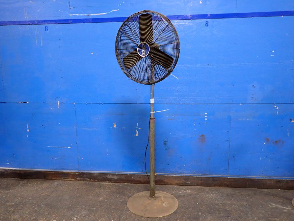 Patton Fan