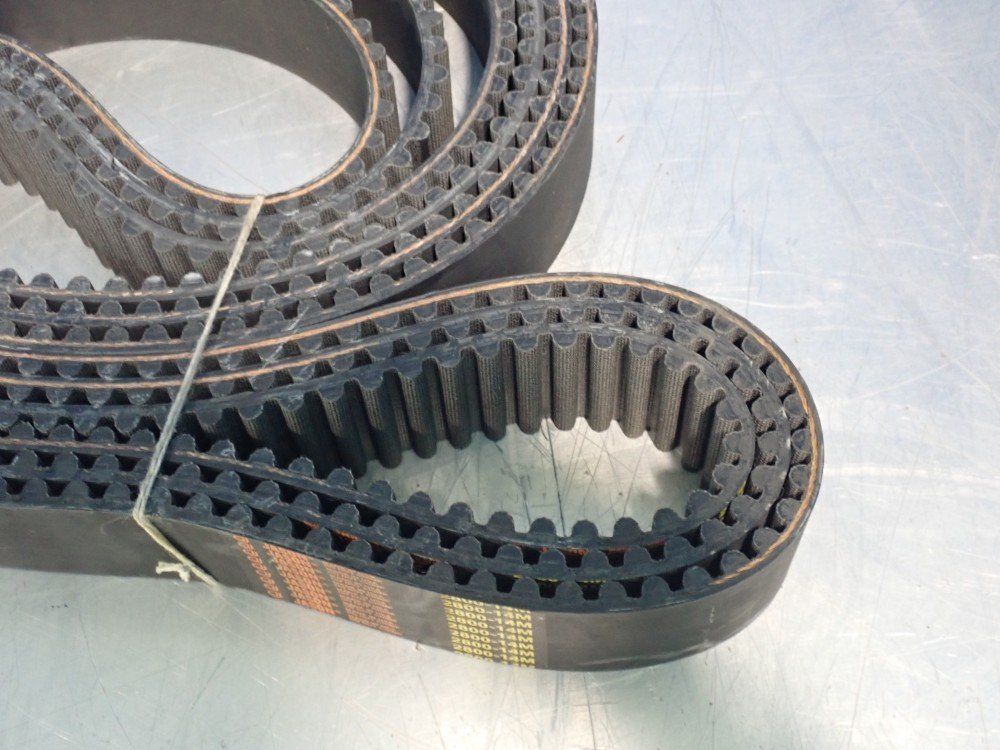 Jason Belts - 2800-14m