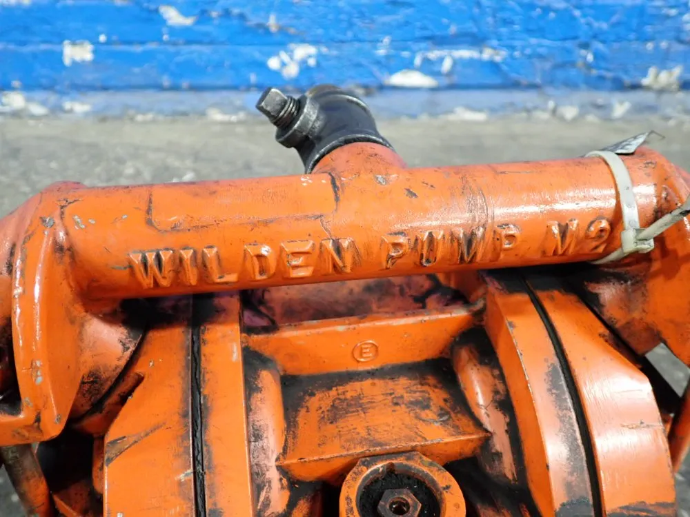 Wilden Pump Diaphragm Pump