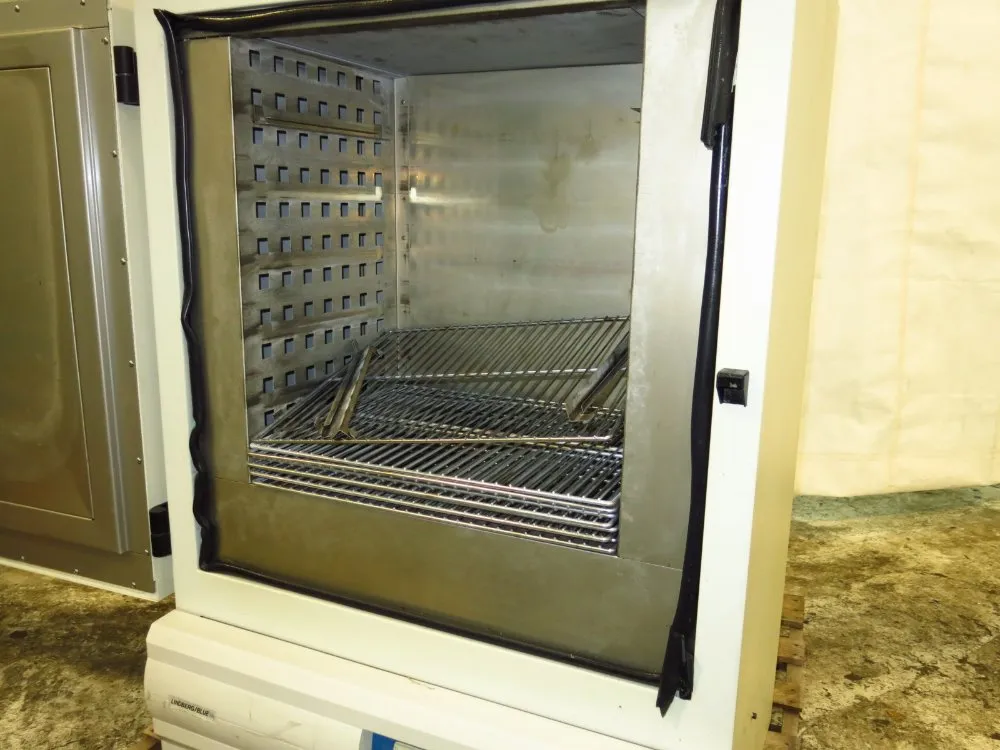 Lindeberg/blue M Oven