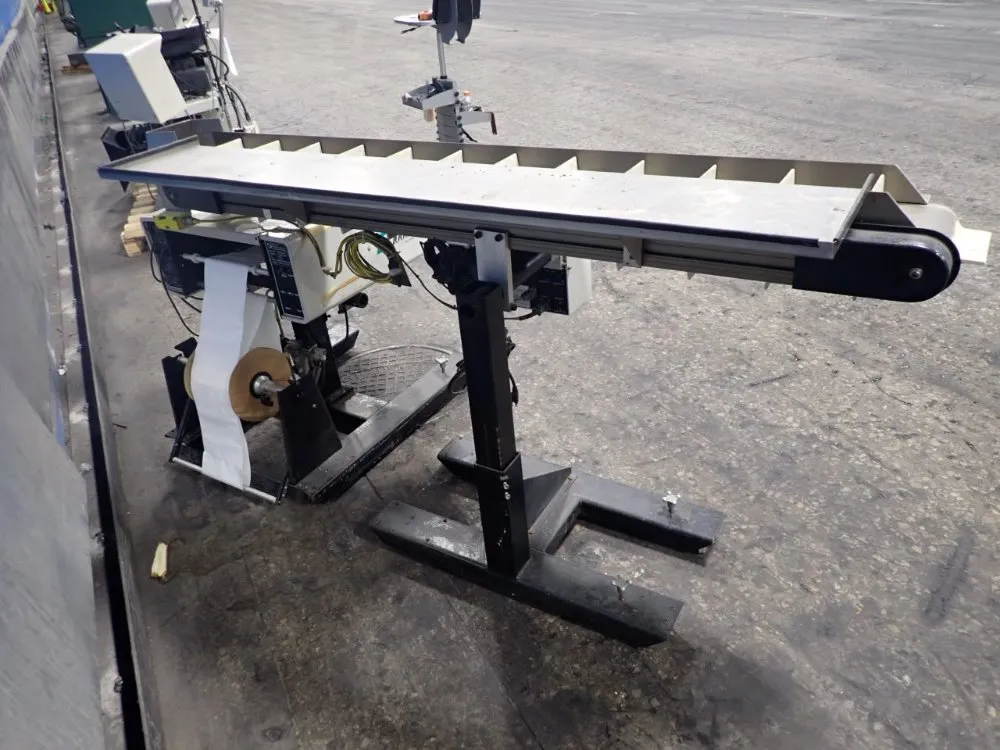 Advanced Poly-packaging Bagger With Conveyor