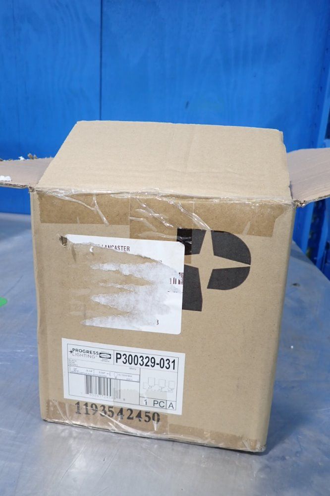 Progress Lighting Light Fixture - P300329-031