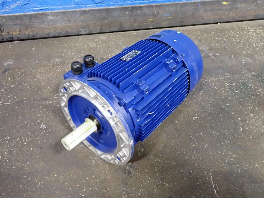 Leroysomer Motor
