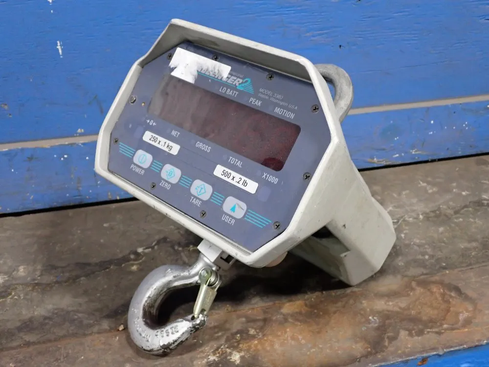 Measurement Systems International Crane Scale