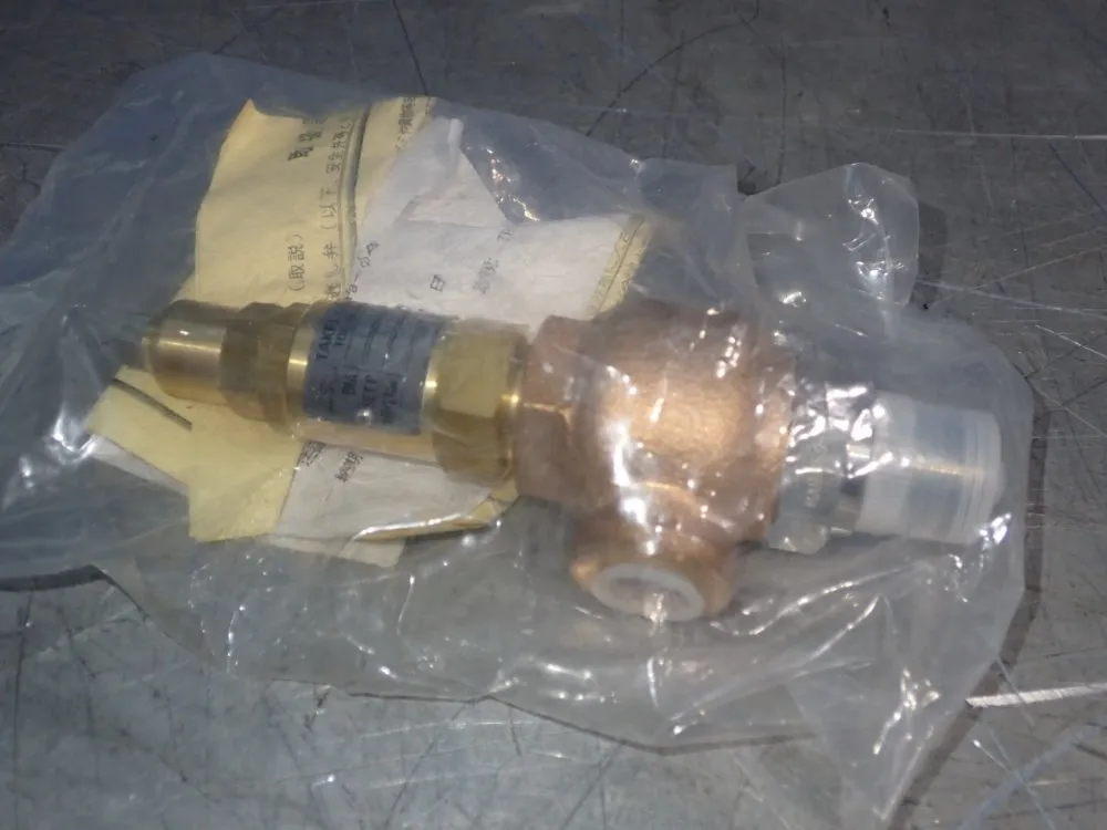 Takei Pressure Relief Valve - B2874