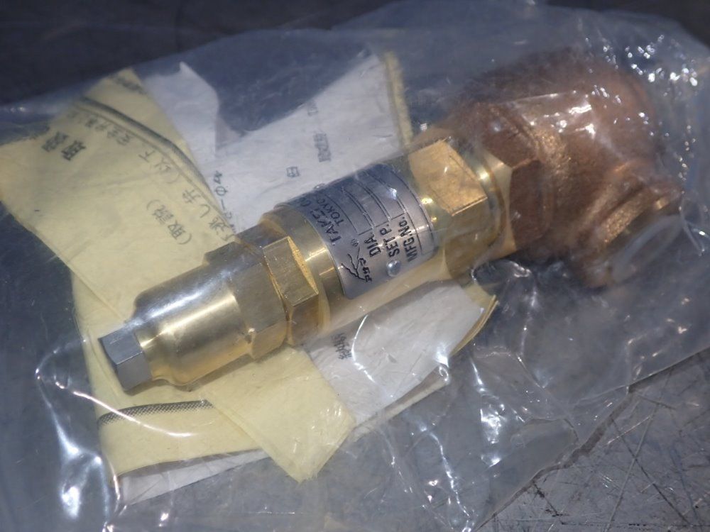 Takei Pressure Relief Valve - B2874