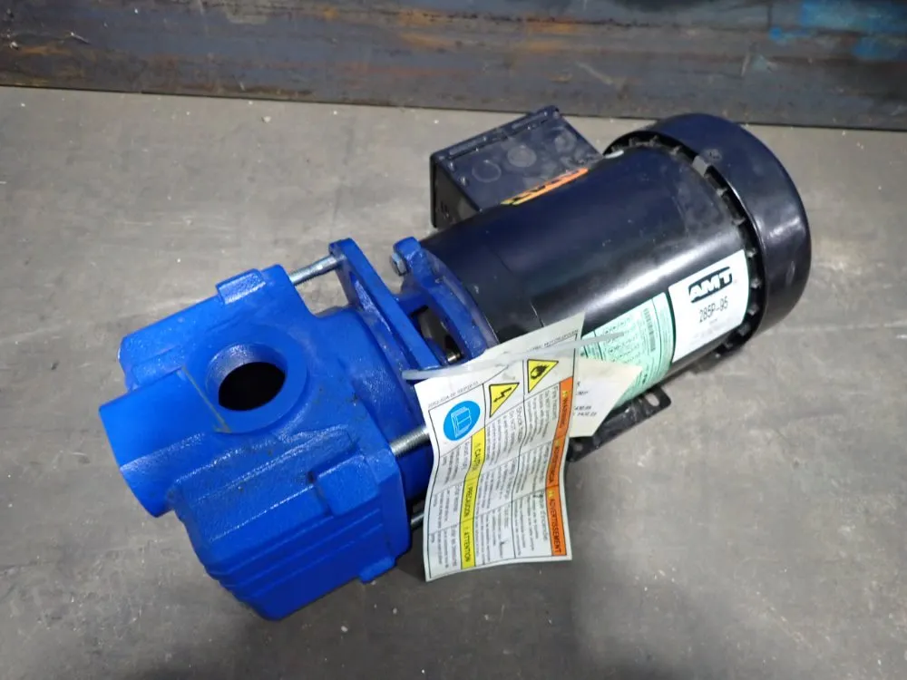 Amt 3/4 Hp Pump - 285p-95