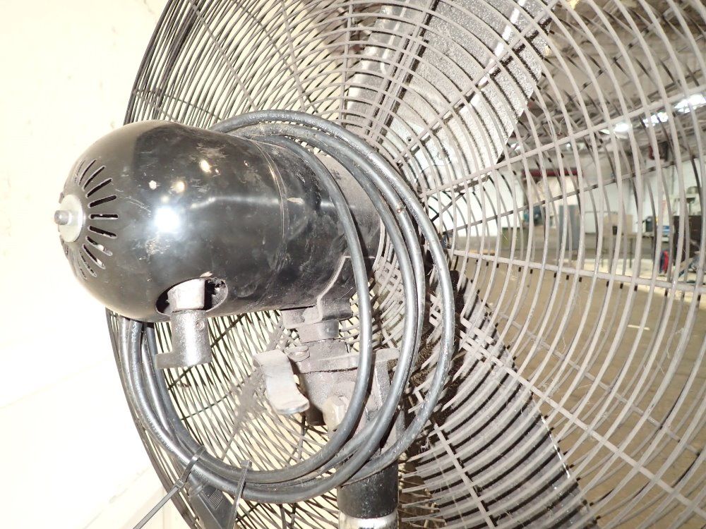 Profitter Pedestal Fan