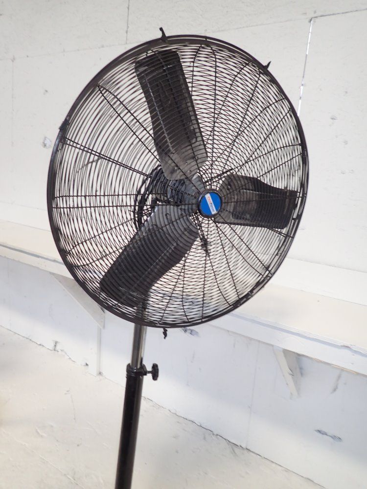 Profitter Pedestal Fan