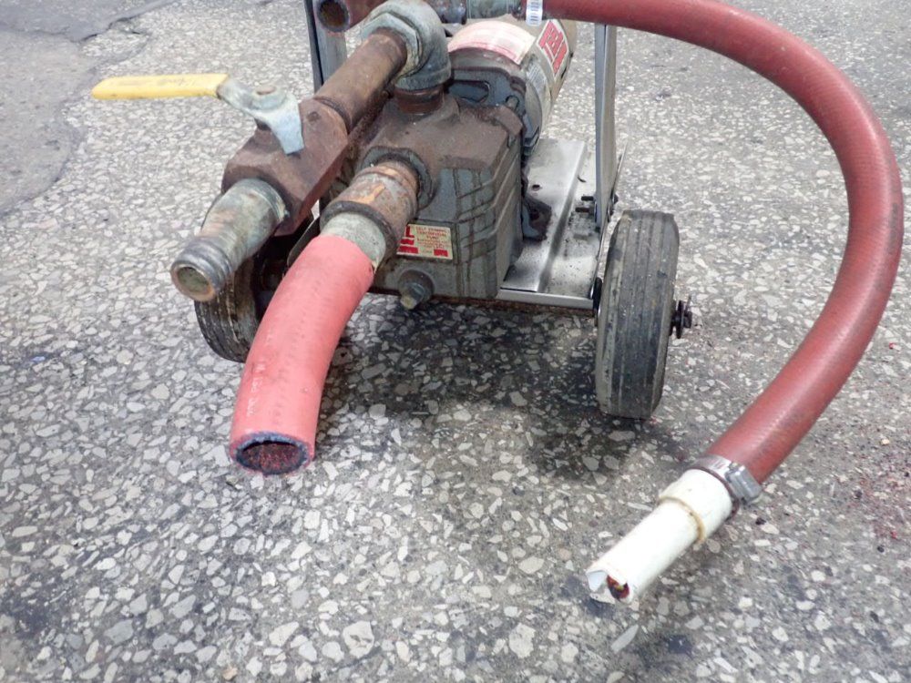 Harmsco Upflow Cartridge Filter/with Pump