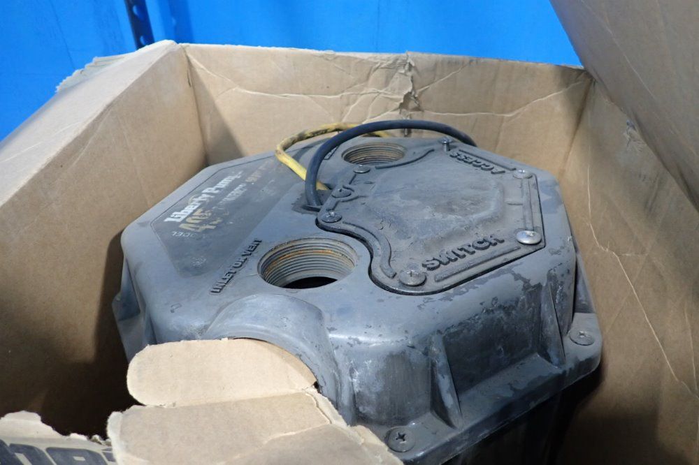 Liberty Pumps Automatic Drain Pump - 405