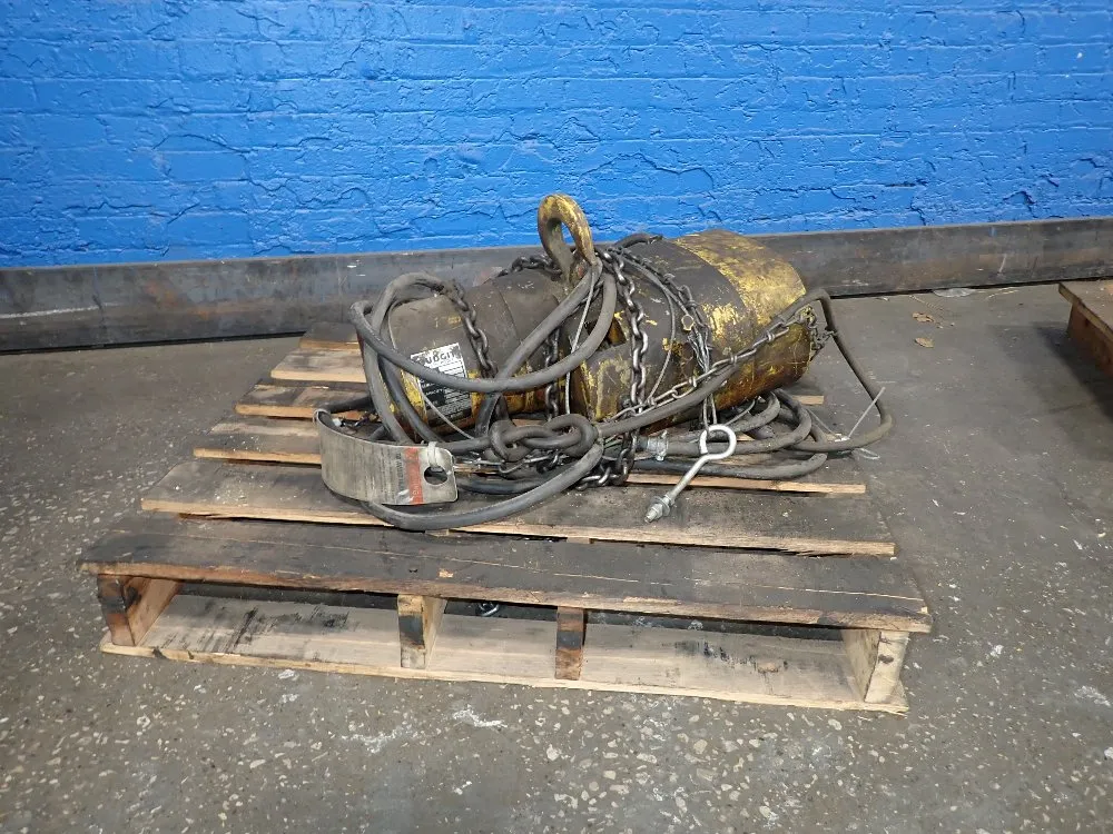 Budgit Electric Chain Hoist