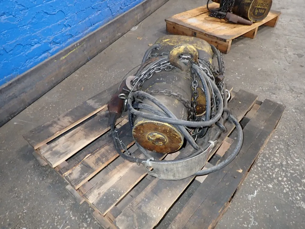 Budgit Electric Chain Hoist