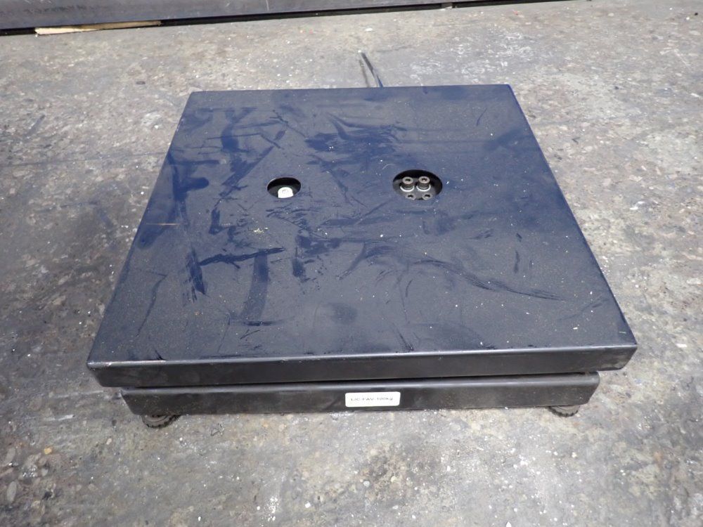 Transcell Technology Scale