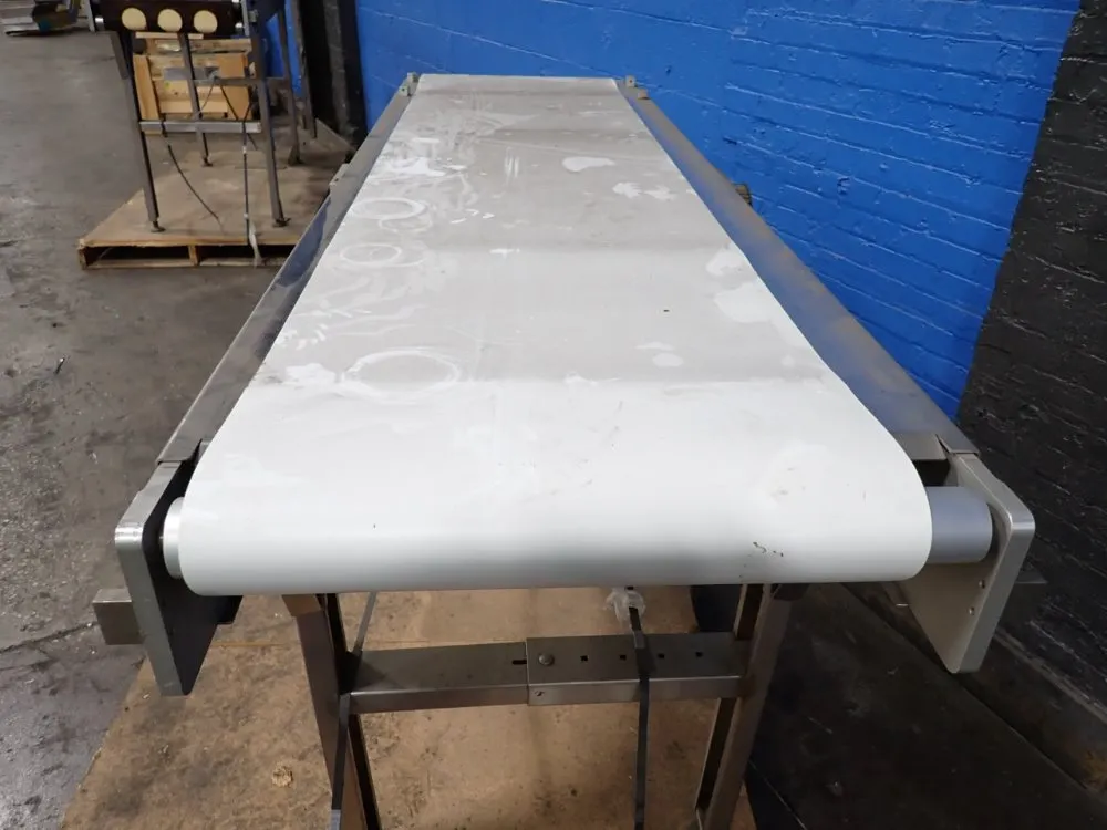 19"x73" Belt Conveyor