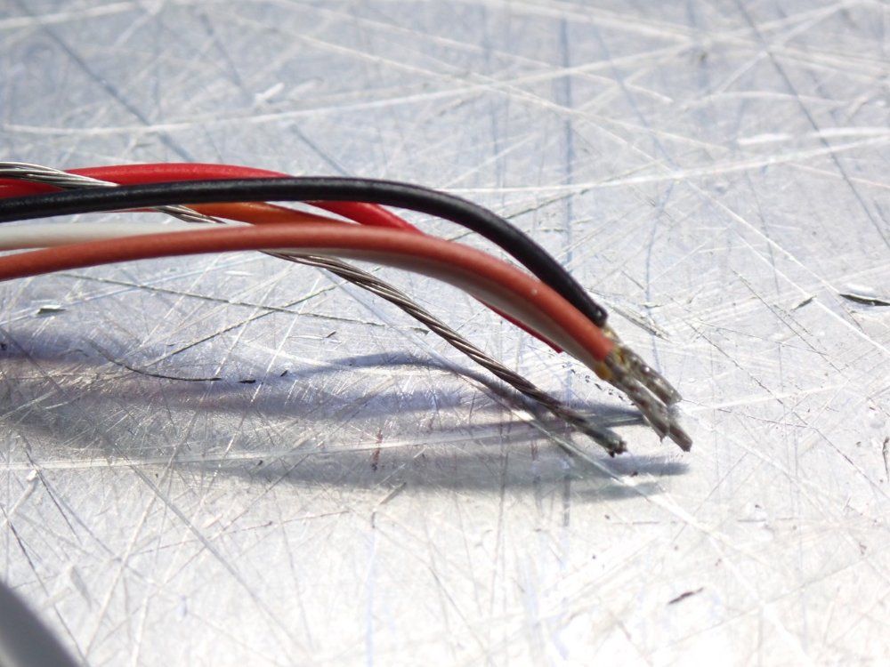 Accucoder Incremental Encoder