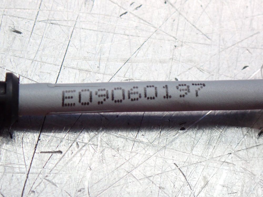 Durr Systems Connection Cable - E09060197