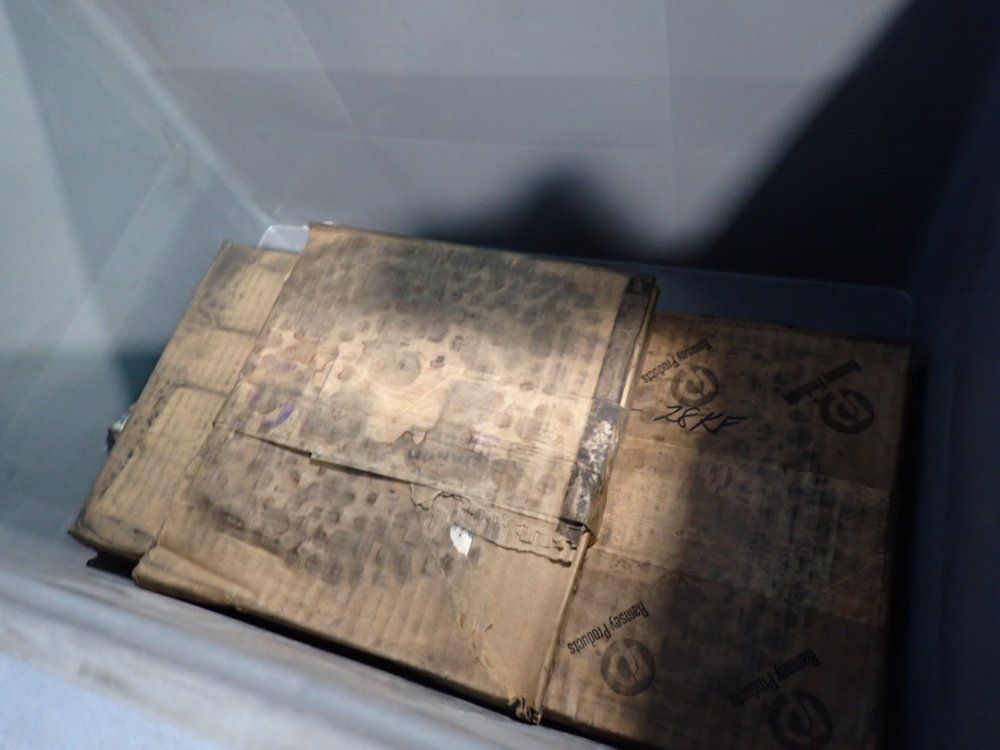 Ramsey Products 10 Ft Conveyor Chains - A-58310