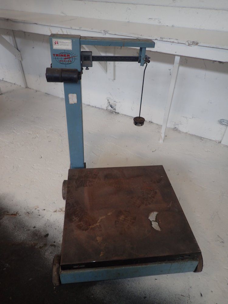 Triner Scale Scale