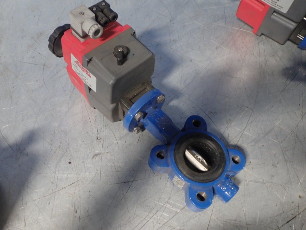 Assured Automation Valve/actuator