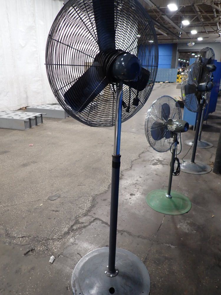 Patton Pedestal Fan