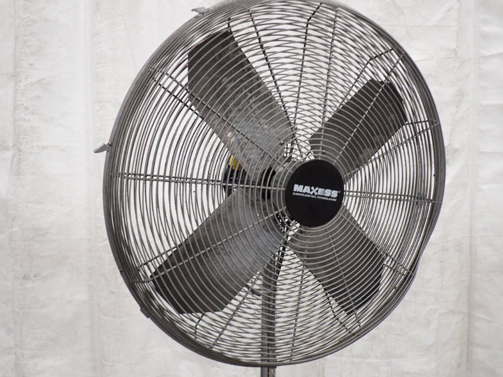 Maxess Pedestal Fan