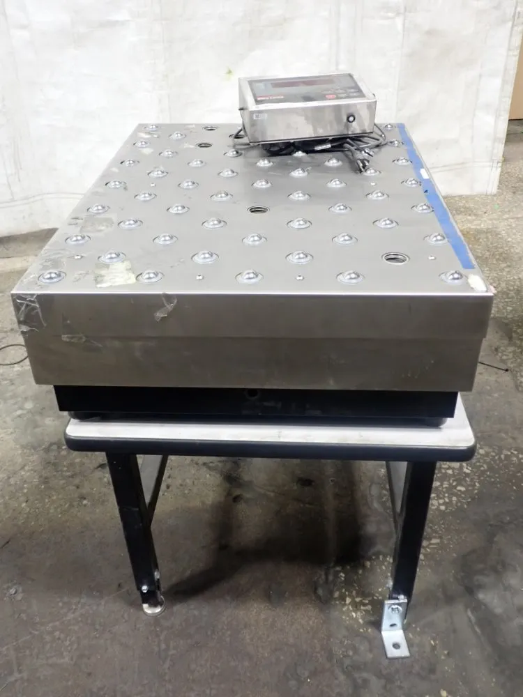 Rice Lake Transfer Scale - 480-2a