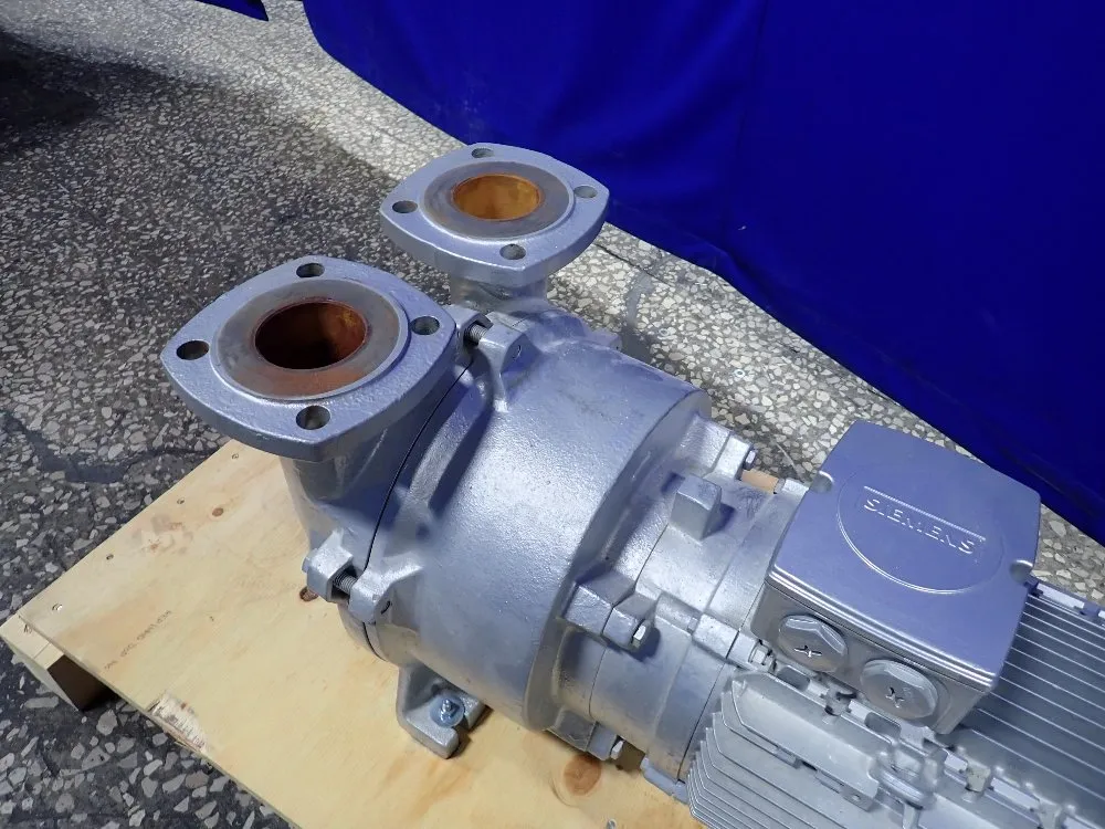 Gardner Denver Elmo Rietscle Vacuum Pump