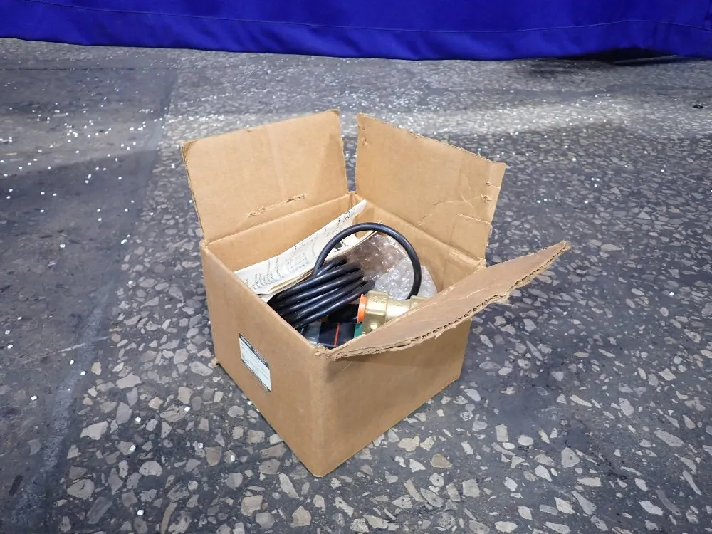 Hankinson Automatic Electric Timed Drain