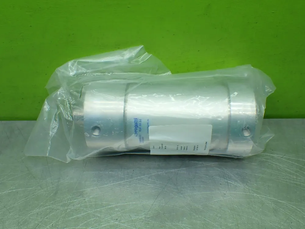 Rogatti Pneumatic Cylinder. Kw 09.20 - 00006-66