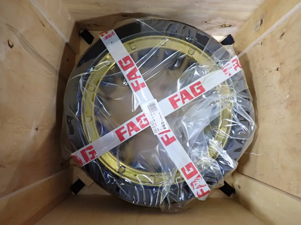 Fag Bearing