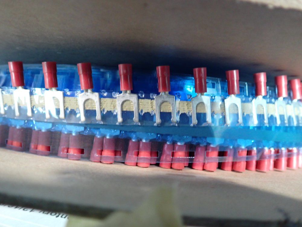 Molex Tape Fed Terminals