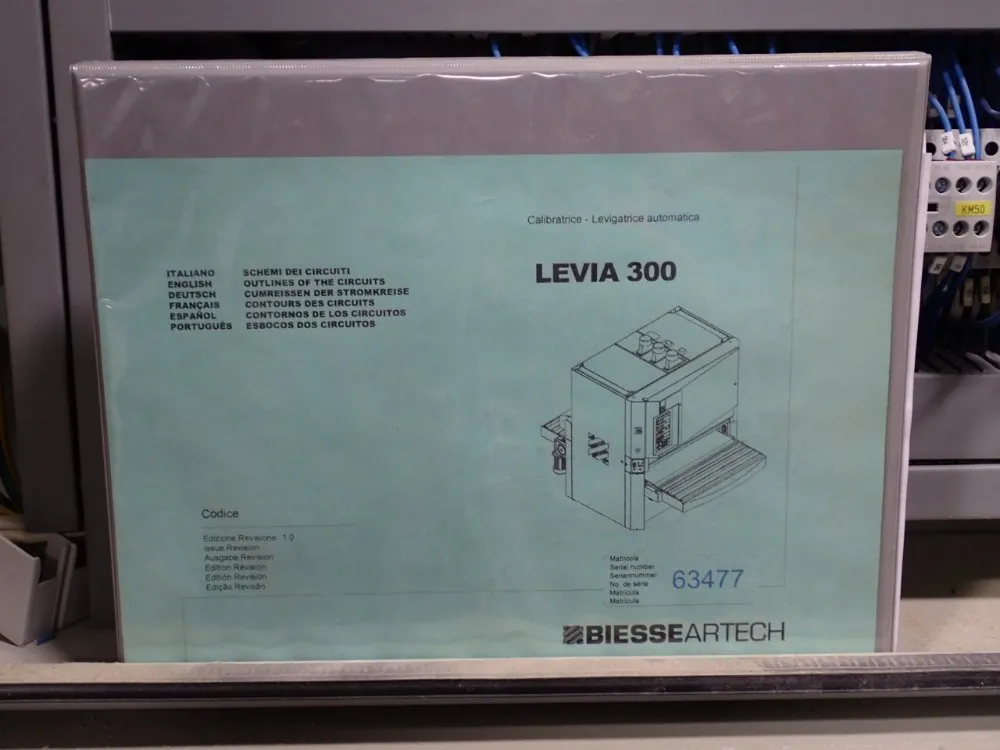 Biesseartech 40: X 43" X 2" Belt Sander - Levia 310-1100