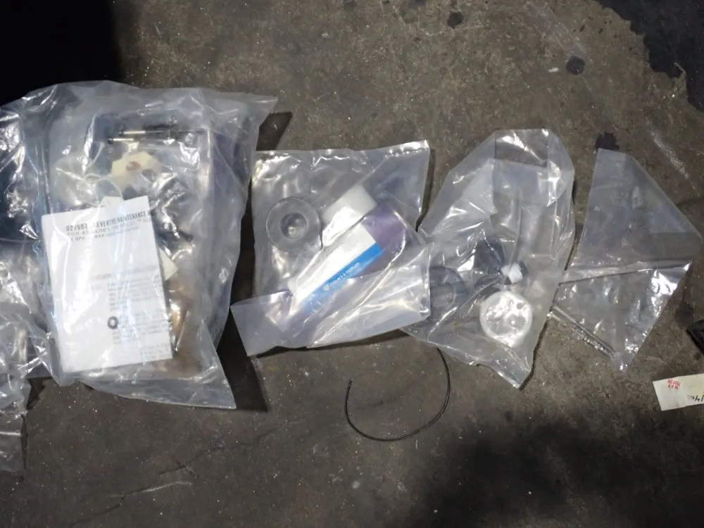 Wallace & Tiernan 50 Psi Chempulse Electronic Pump - 45-100/k1m