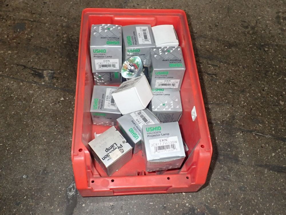 Ushio Halogen Light Bulbs